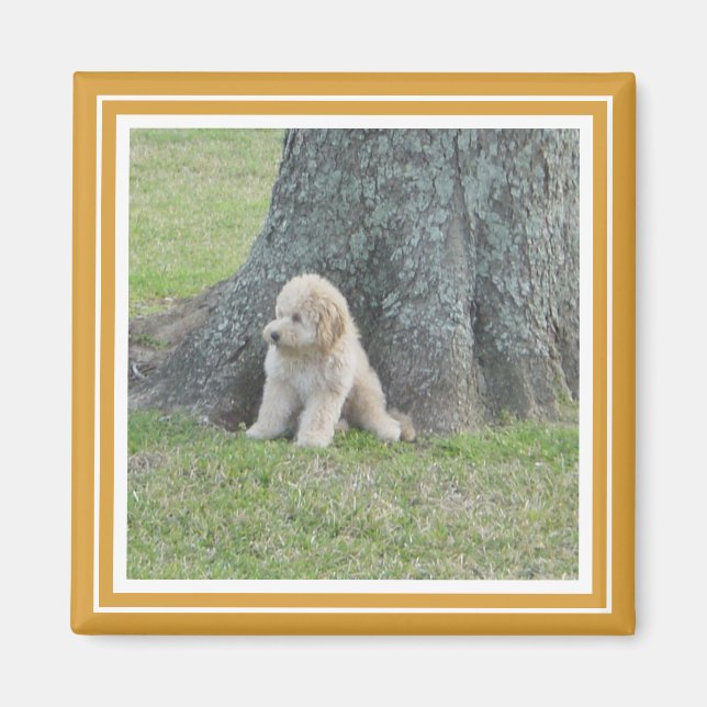 Imán Plantilla de fotografía personalizado amarillo dor (Frente)