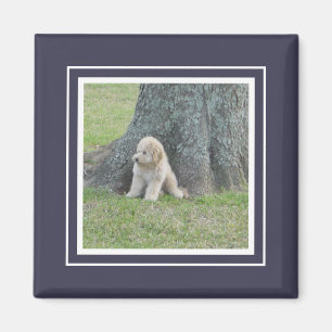 Imán Plantilla de fotografía personalizado Azul oscuro 