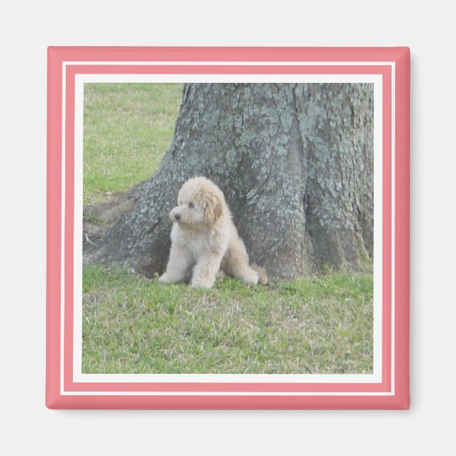 Imán Plantilla de fotografía personalizado Coral rosa s (Frente)