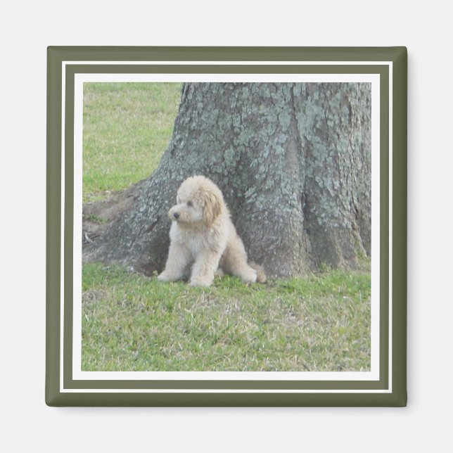 Imán Plantilla de fotografía personalizado Moss Verde y (Frente)