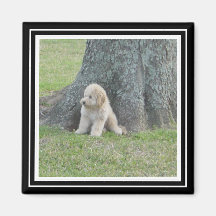 Plantilla de fotografía personalizado True Black &