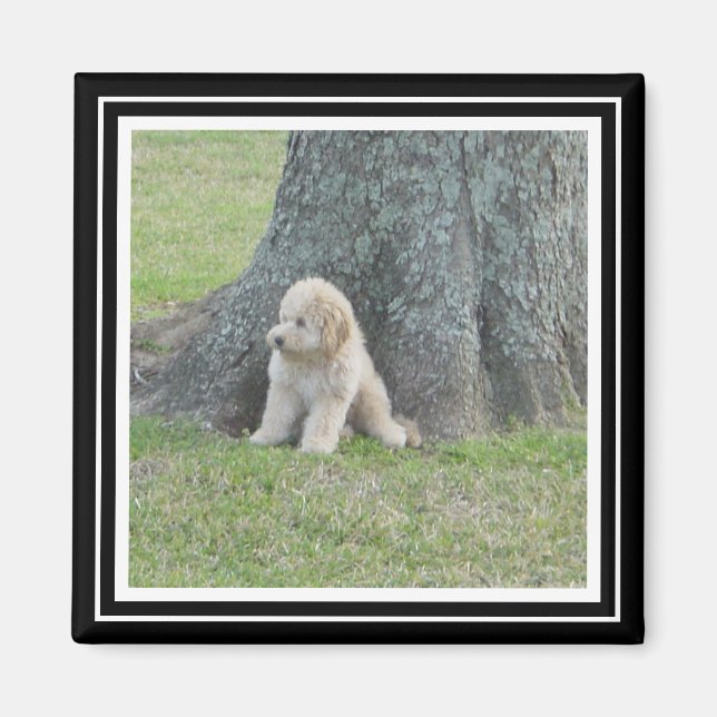 Imán Plantilla de fotografía personalizado True Black & (Frente)