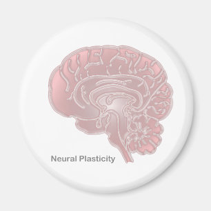 Imán Plasticidad neural