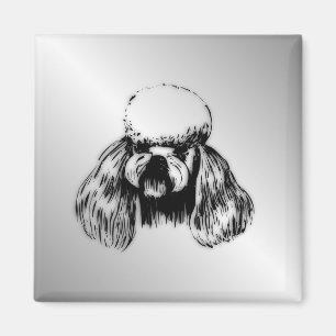 Imán Plata de caniche