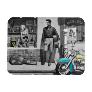 Imán Plata de HWY 51