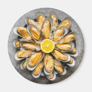 Imán Plata de ostras