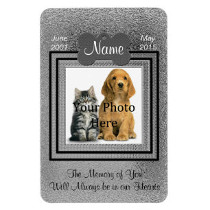 Imán Plata en homenaje a un gato o un perro