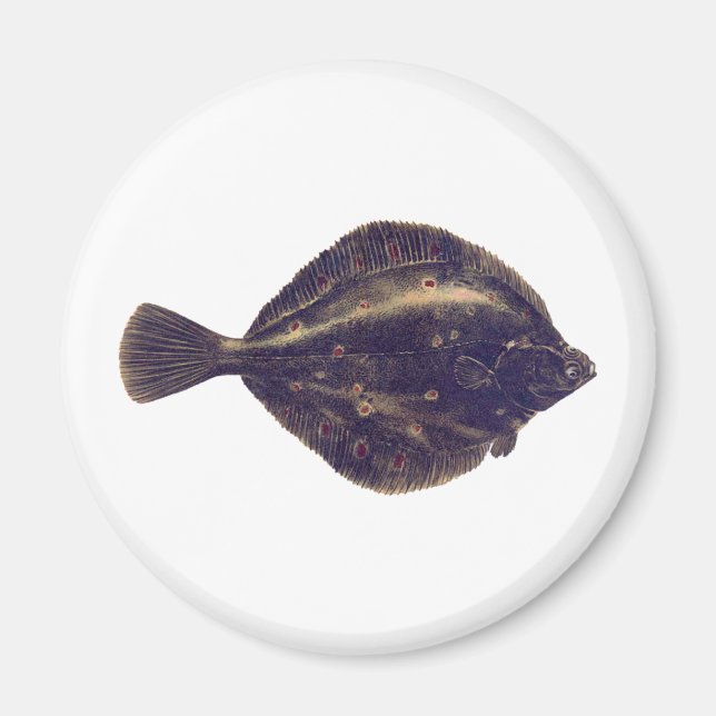 Imán Plato europeo (Frente)