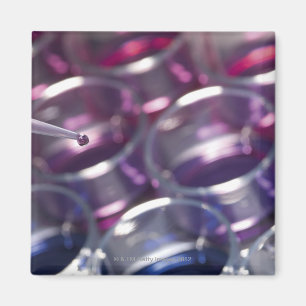 Imán Platos de pipeta y petri con fluidos