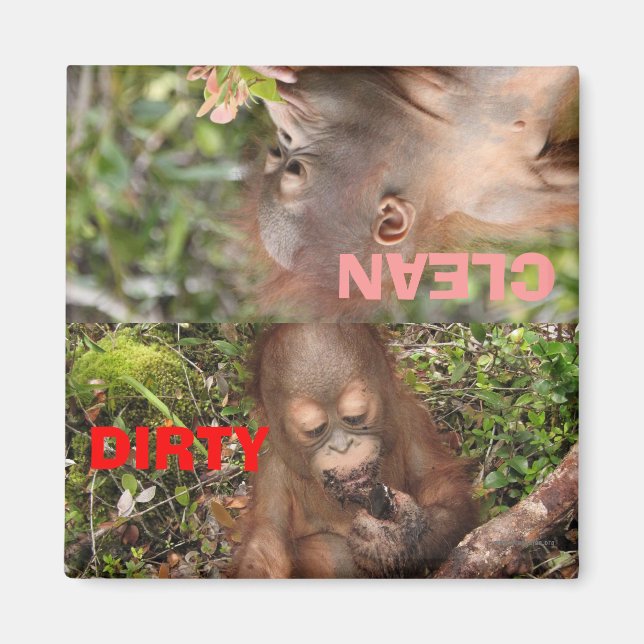 Imán Platos sucios o limpios en lavavajillas (Frente)