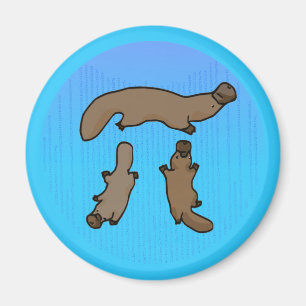 Imán "Platypi" tres Platypuses pi griego
