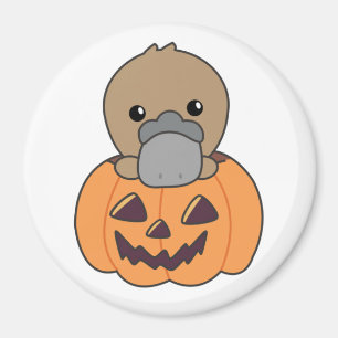 Imán Platypus En Calabaza Dulces Animales Felices Hallo