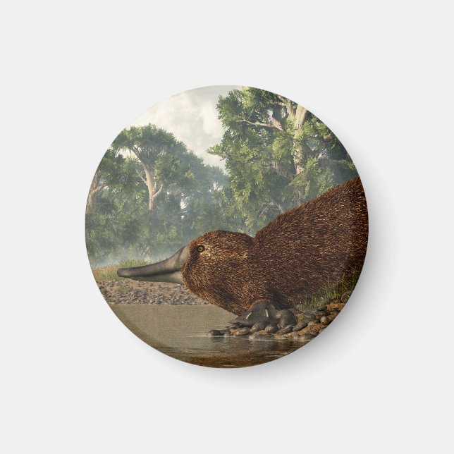 Imán Platypus en la orilla (Frente)