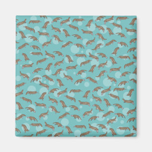 Imán Platypuses Natación