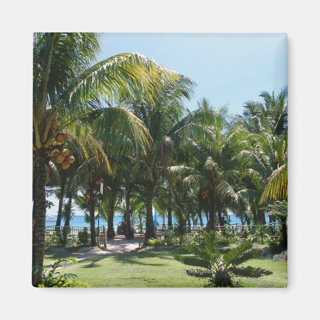 Imán Playa (Frente)