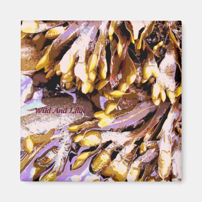 IMÁN PLAYA (Frente)