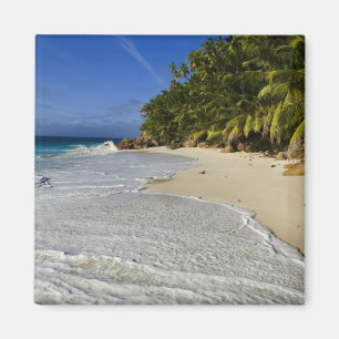 Imán Playa Anse Victorin 2