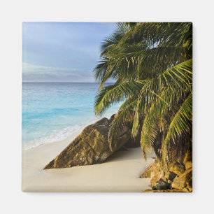 Imán Playa Ansi Victorin