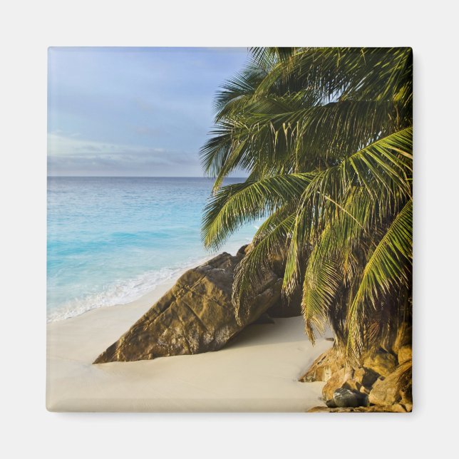 Imán Playa Ansi Victorin (Frente)