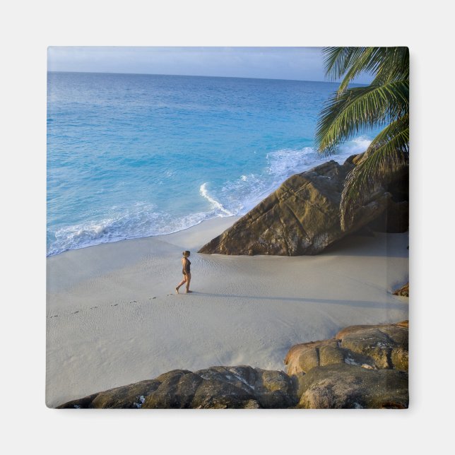 Imán Playa Ansi Victorin, Isla Fregate (Frente)
