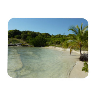 Imán Playa Antigua Hermoso Paisaje Tropical