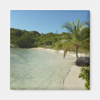 Imán Playa Antigua Hermoso Paisaje Tropical