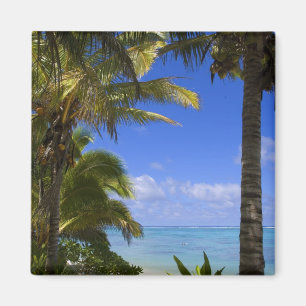 Imán Playa bordeada de palmeras Islas Cook 2