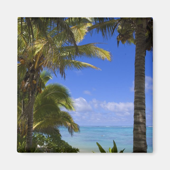 Imán Playa bordeada de palmeras Islas Cook 2 (Frente)