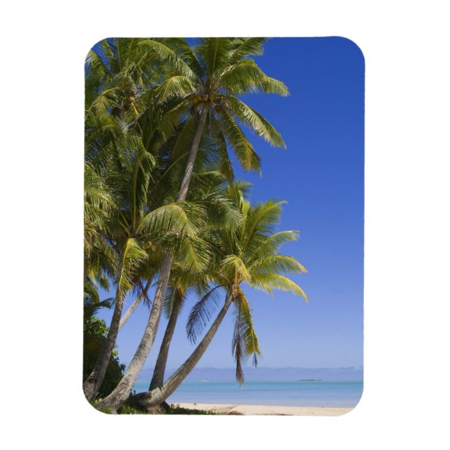 Imán Playa bordeada de palmeras Islas Cook 3 (Vertical)