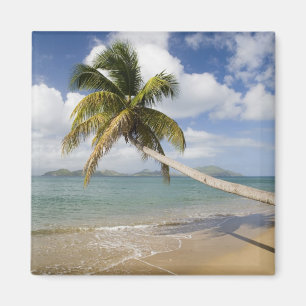 Imán Playa Coconut Grove en Cades Bay, con St.