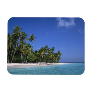 Imán Playa con palmeras, Maldivas