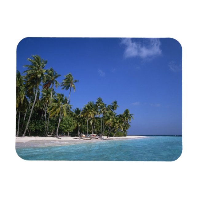 Imán Playa con palmeras, Maldivas (Horizontal)