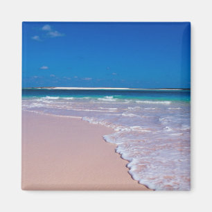 Imán Playa de arena rosa en Conch Bay, Cat Island,
