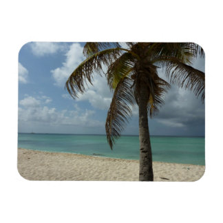 Imán Playa de Aruba I Bella Escena Natural