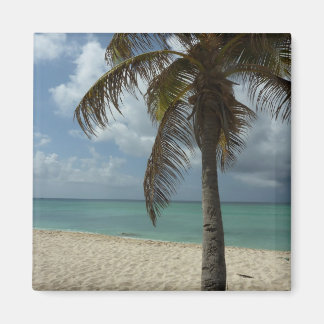 Imán Playa de Aruba I Bella Escena Natural