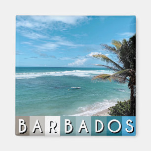 Imán Playa de Barbados