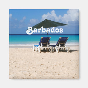 Imán Playa de Barbados