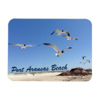 Playa de Bonito de fotografía de gaviota de Port A