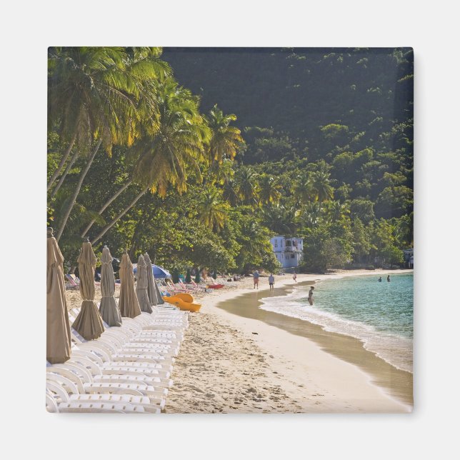 Imán Playa de Cane Garden Bay, isla de Tortola (Frente)
