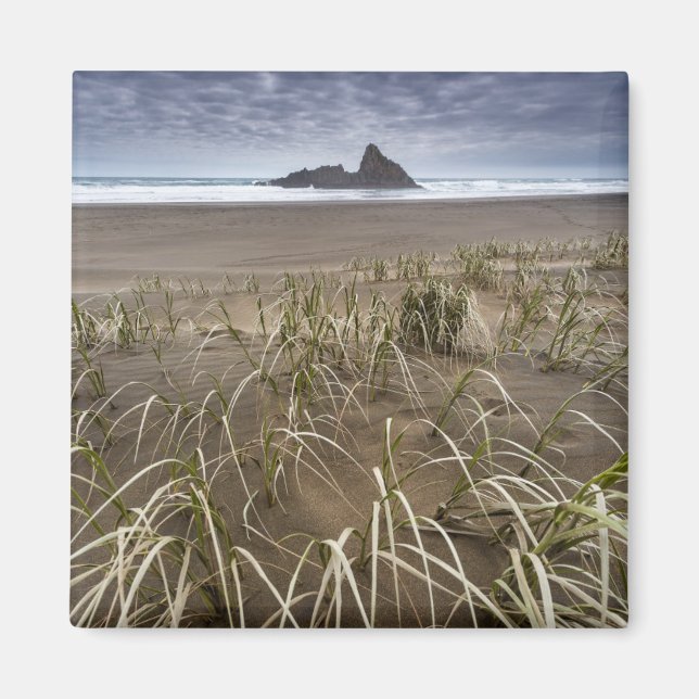 Imán Playa de Karekare | Isla Panatahi, Costa Oeste (Frente)