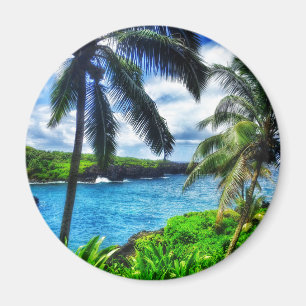 Imán Playa de la arena del negro de la escena del