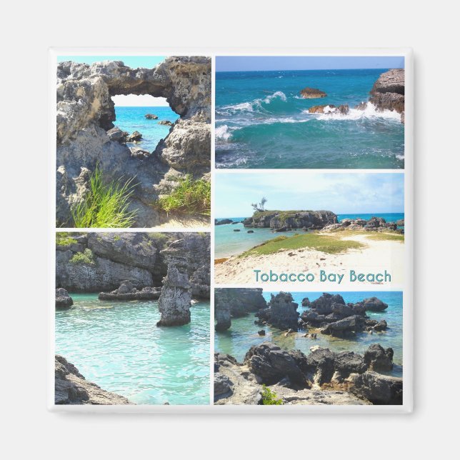 Imán Playa de la Bahía del Tabaco, Bermudas (Frente)