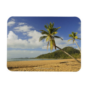 Imán Playa de Misión