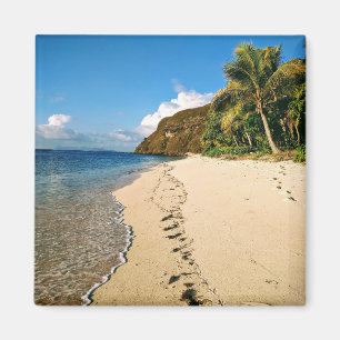 Imán Playa de una isla en Fiji