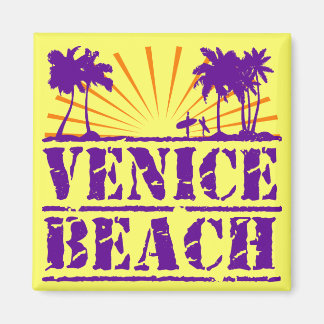 Imán Playa de Venecia