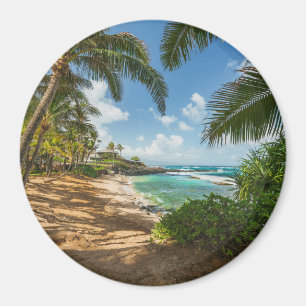 Imán Playa el   Maui, Hawaii de la ensenada de Kuau