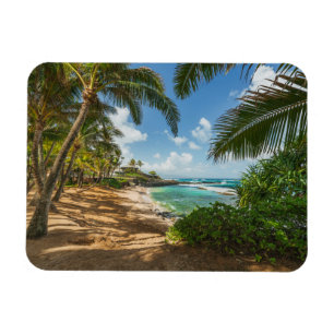 Imán Playa el   Maui, Hawaii de la ensenada de Kuau