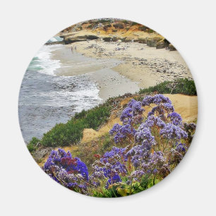 Imán Playa en la ensenada de La Jolla