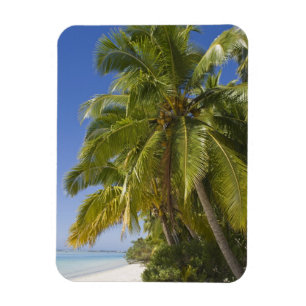 Imán Playa en la isla de One Foot, Aitutaki, Islas Cook