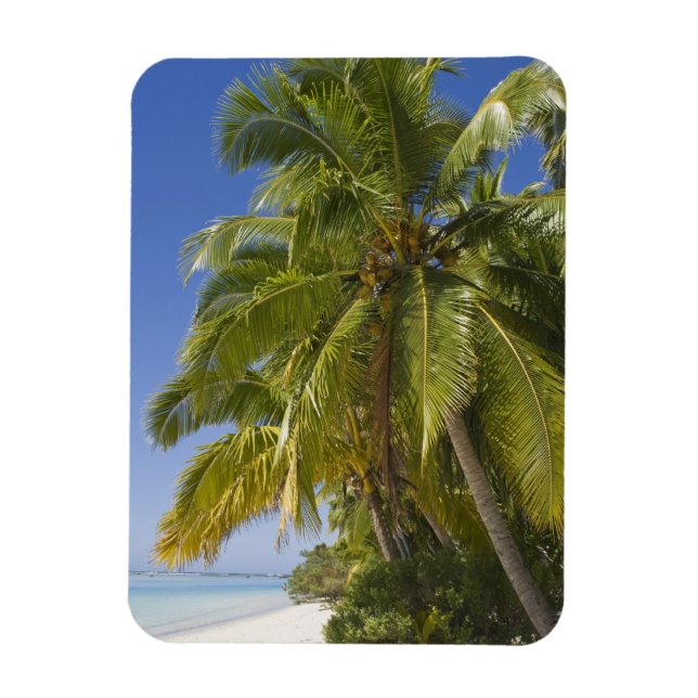 Imán Playa en la isla de One Foot, Aitutaki, Islas Cook (Vertical)